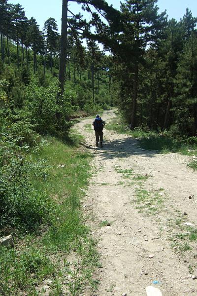 2011-05- (1534).JPG